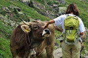 32 Incontro ravvicinato cordiale